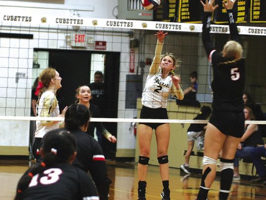 Round Top-Carmine takes care of McDade in volleyball