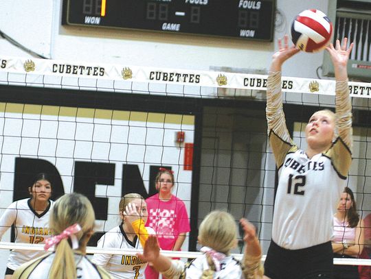 Round Top-Carmine volleyball blows out Prairie Lea in three sets