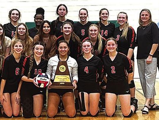 Schulenburg and Columbus volleyball punch another ticket to state tourney