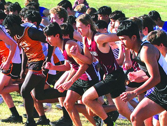 Schulenburg cross country takes on the Shiner meet Shinermeet