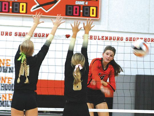 Schulenburg volleyball holds off RTC in four sets