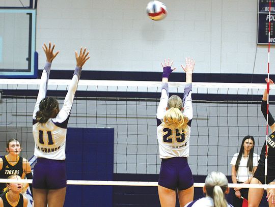 Sealy volleyball outlasts La Grange in five sets