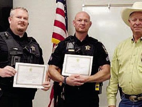 Sheriff Brandes commends deputies