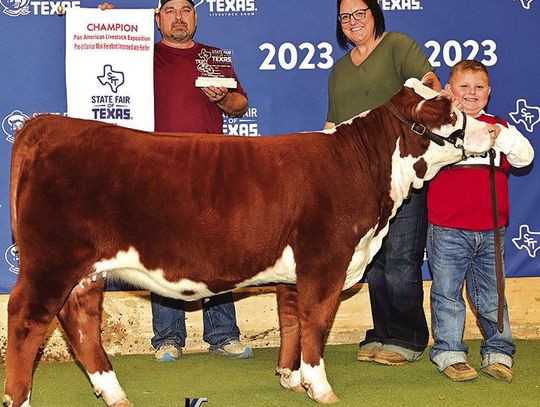 Stockton Emshoff Grand Champion at State Fair