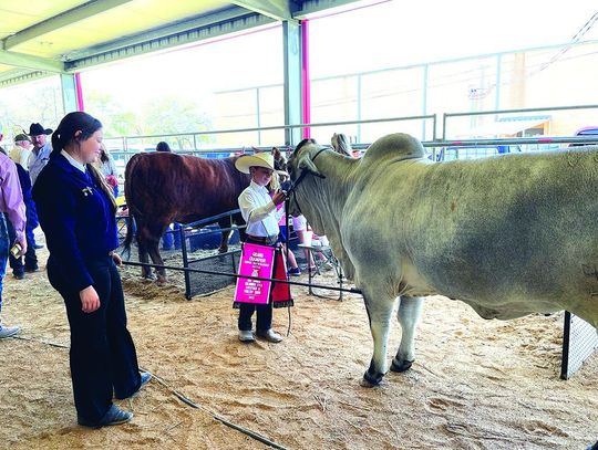 The 80th Columbus FFA Show & Sale