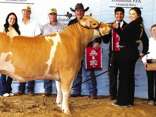 The 81st Columbus FFA Show & Sale