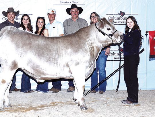 The 83rd Columbus FFA Show & Sale
