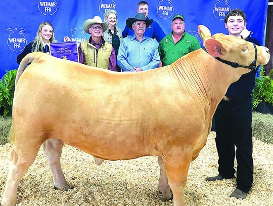 Weimar FFA Sale raises over $161,000