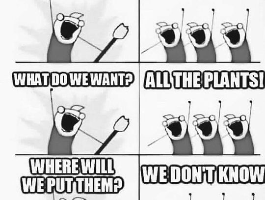 Weimar Public Library to host legal program