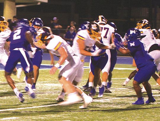 Weimar Wildcats outlasts Rice Raiders in nail biter