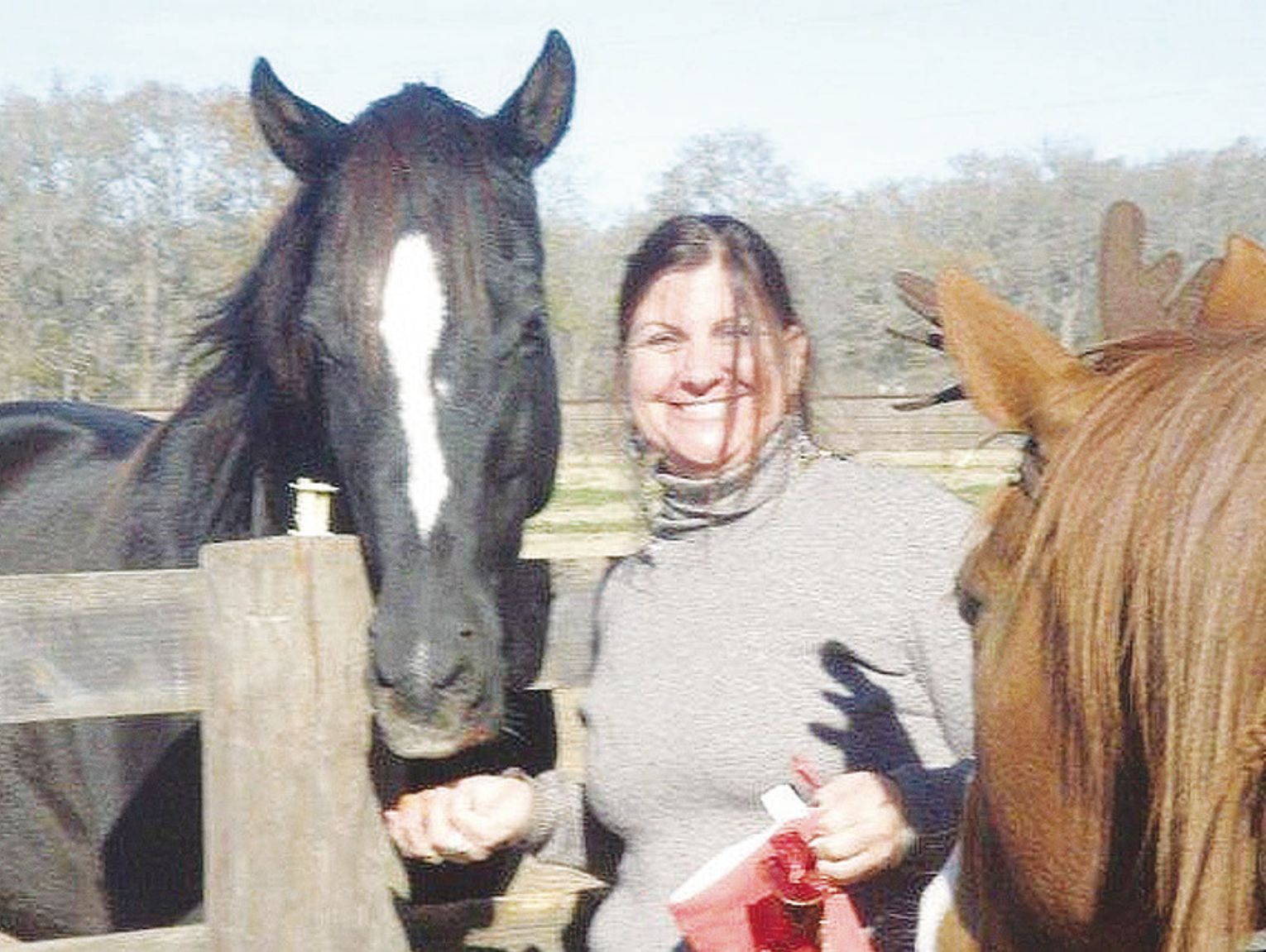 “The Book of Norman: a life in the shadow of greatness” presented at the Weimar Public Library by author