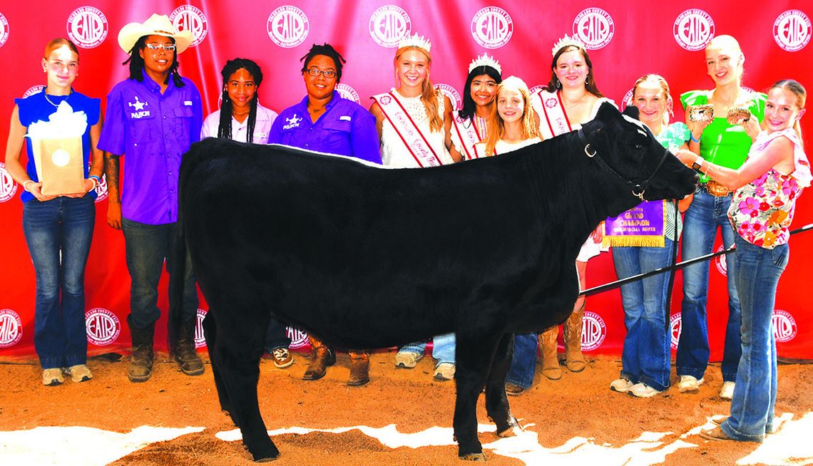 2024 COLORADO COUNTY JR. LIVESTOCK SALE