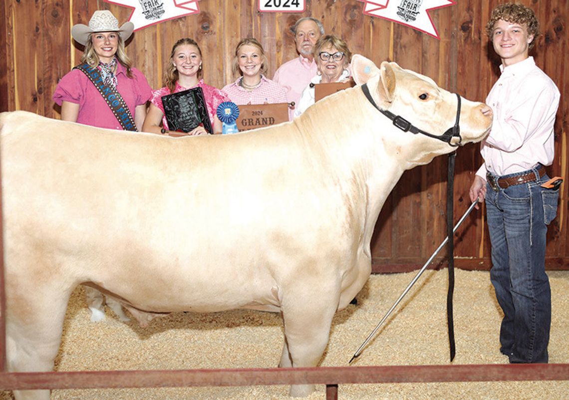 Austin County Fair Youth Auction Sale brings in over $2 million breaking two records