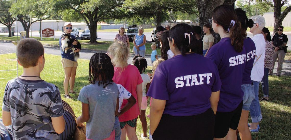 Award-winning dog trainer and agility competitor gives tips