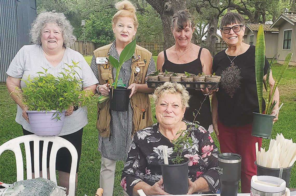 Columbus Garden Club spectacular annual plant sale