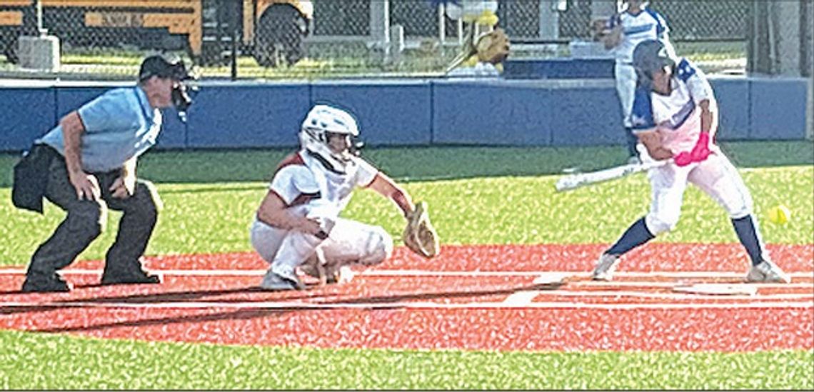 Columbus Lady Cards demolishes Rice Lady Raiders