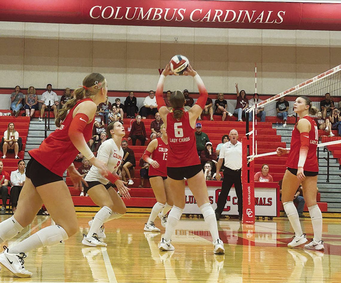 Columbus volleyball looking state caliber Columbus volleyball looking state caliber