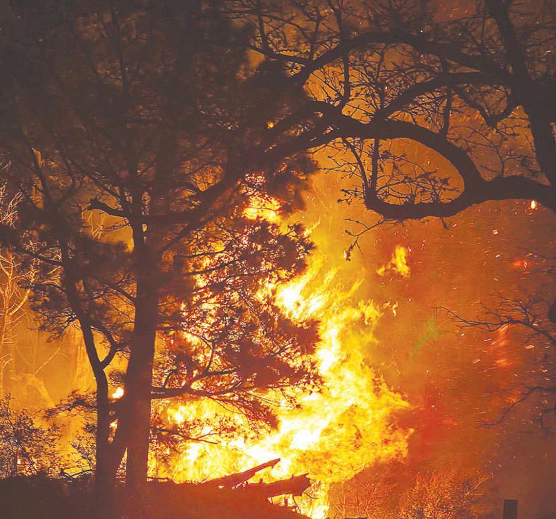 Downed power line sparks blaze at Whirling Pines