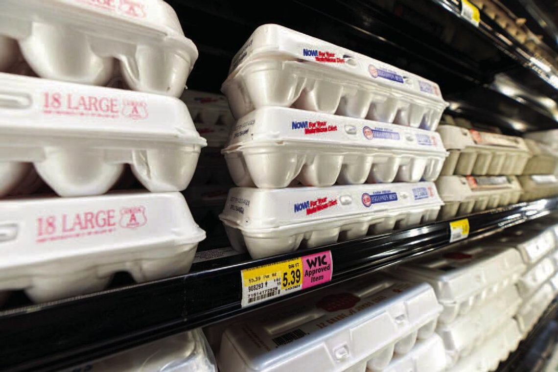 Egg prices plummet