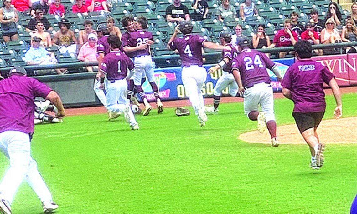 Fayetteville Lions win state crown