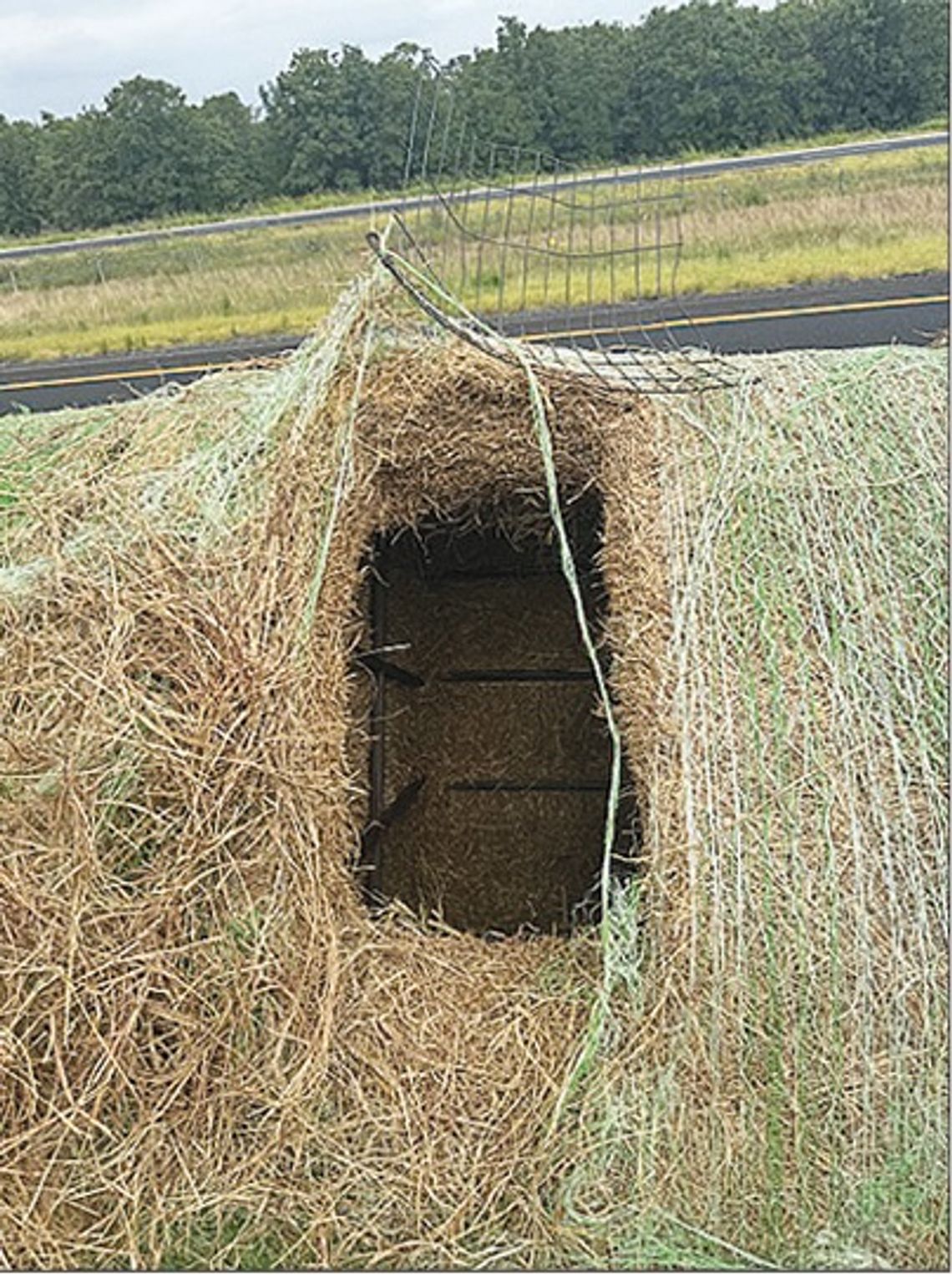 Hay bales hold more than hay