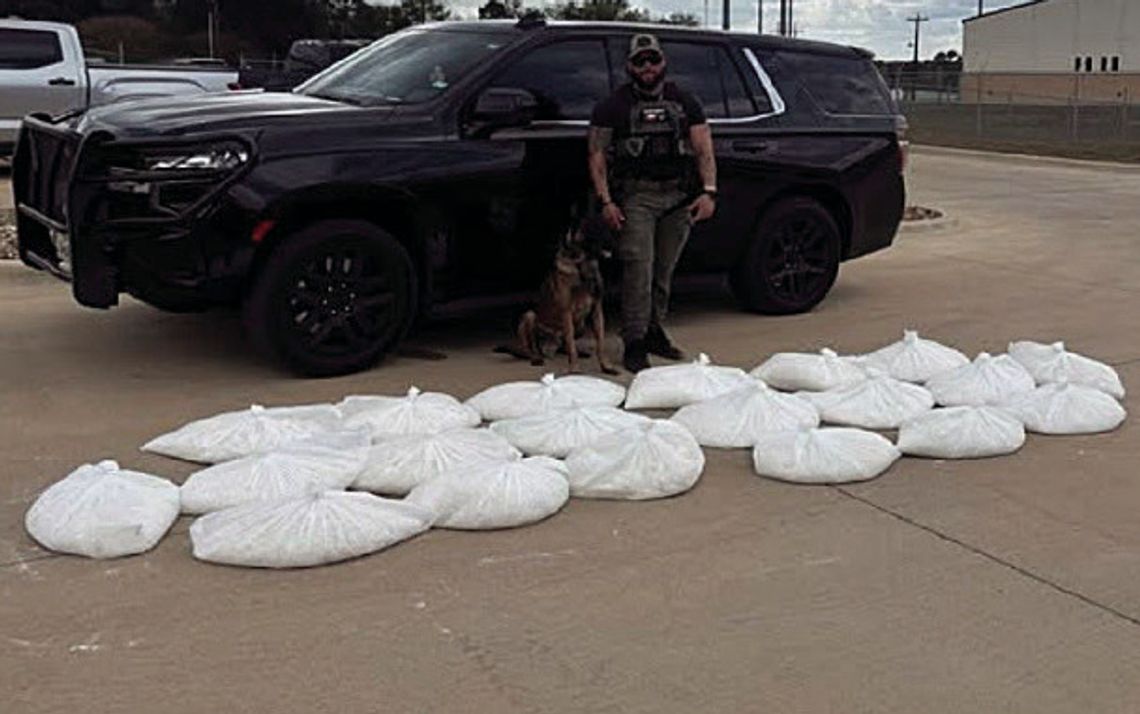 K-9 Knox knocks down 200 kilos of crystal meth