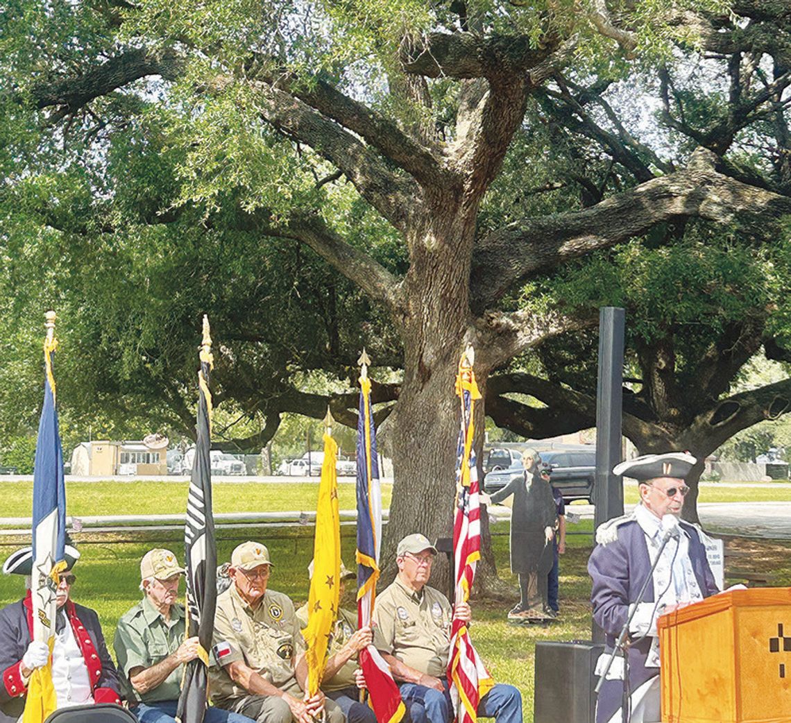 Live Oak designated as Liberty Tree
