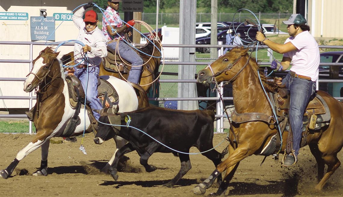 Pullin’ tails and wranglin’ steers