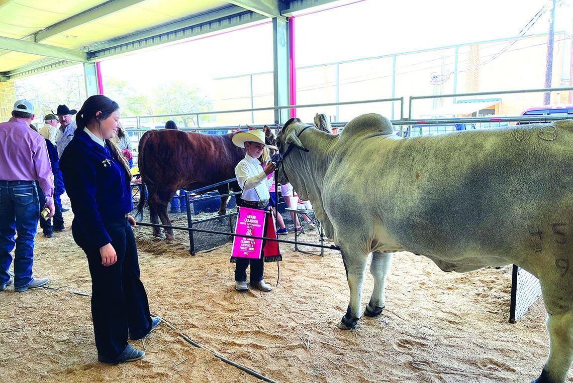 The 80th Columbus FFA Show & Sale