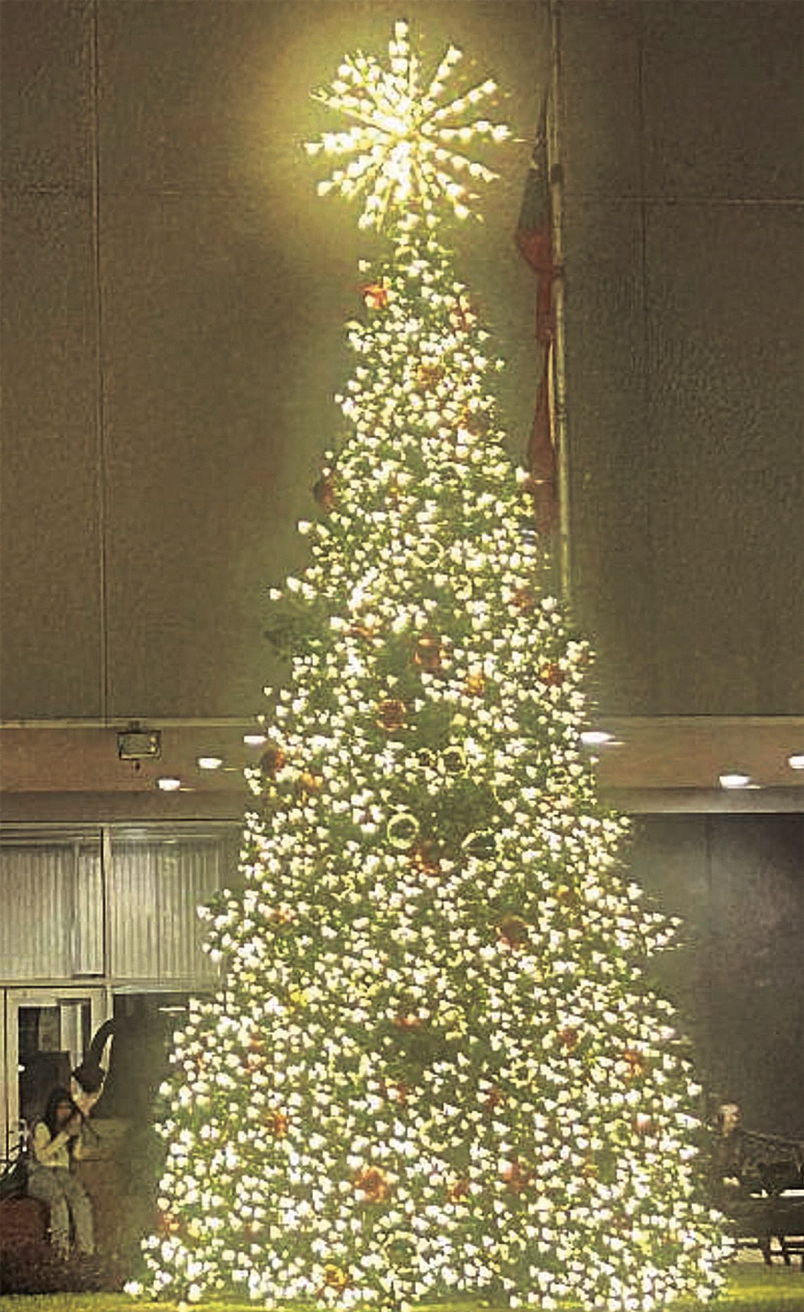 ‘Tis the Season ‘Tis the Season