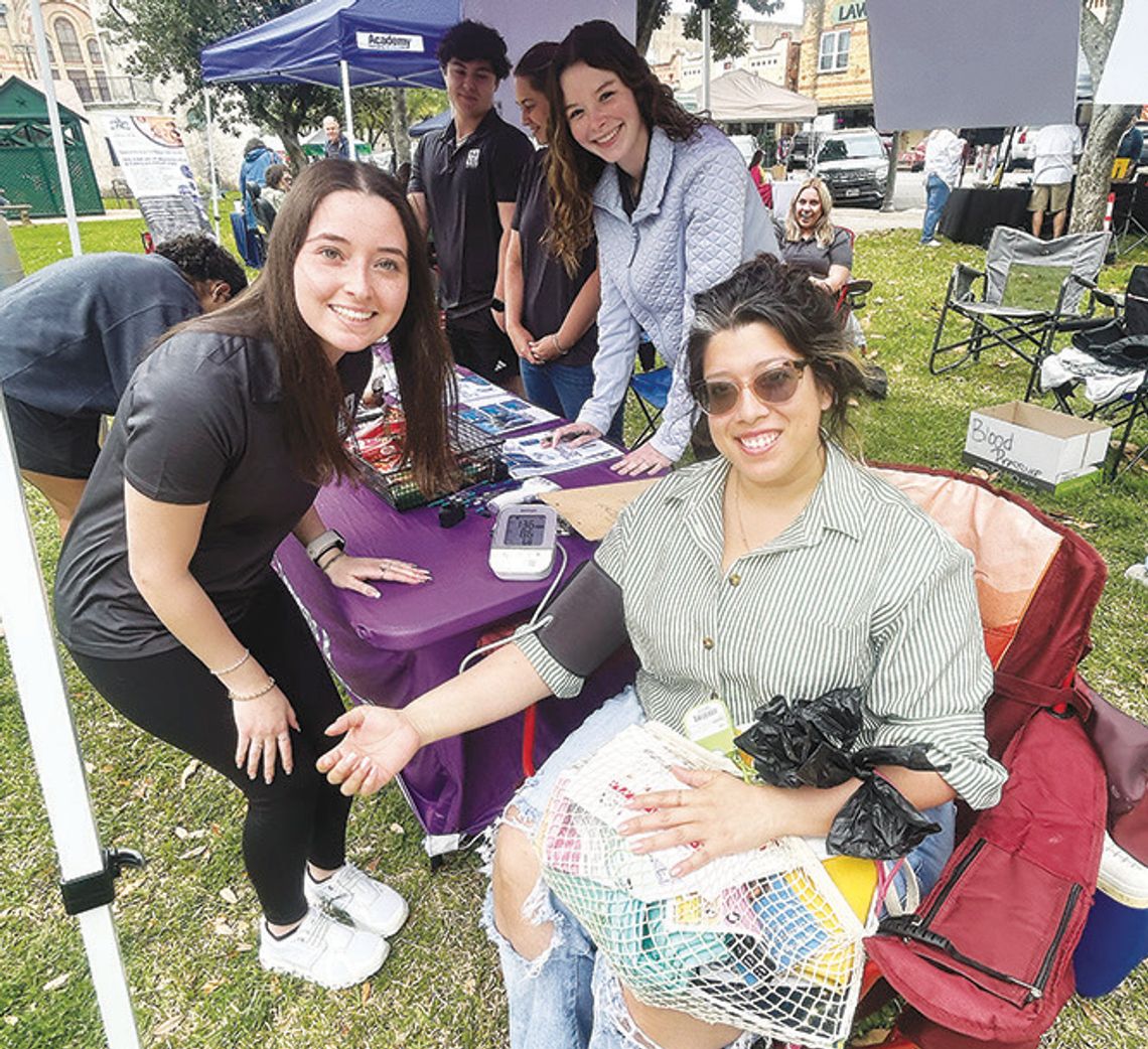 Wellness Council holds annual health fair on courthouse square
